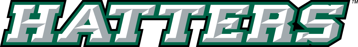 Stetson Hatters 2008-2017 Wordmark Logo v2 diy iron on heat transfer